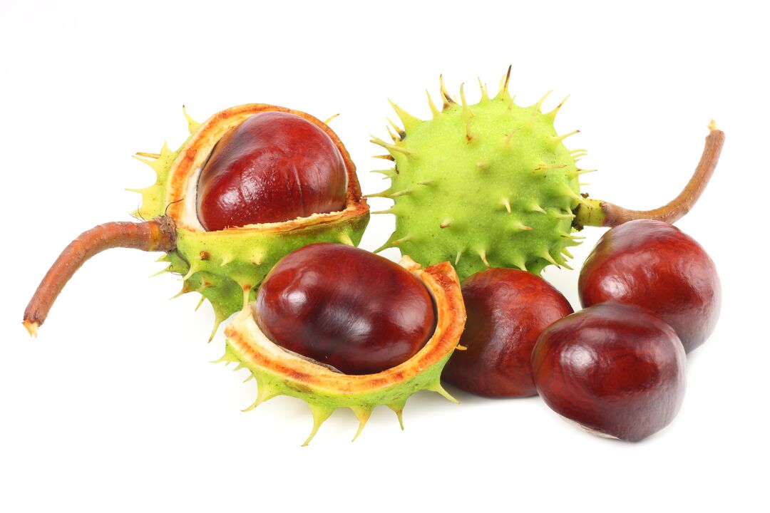 Veniselle contiene castagne per cavalli