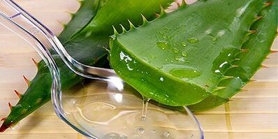 Succo di aloe per trattare le vene varicose sulle gambe